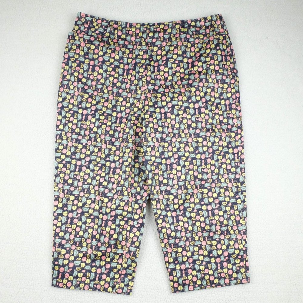 Vintage Talbots Capris Womens 14 Blue Capris Mellon Fruit Print Stretchy 90s